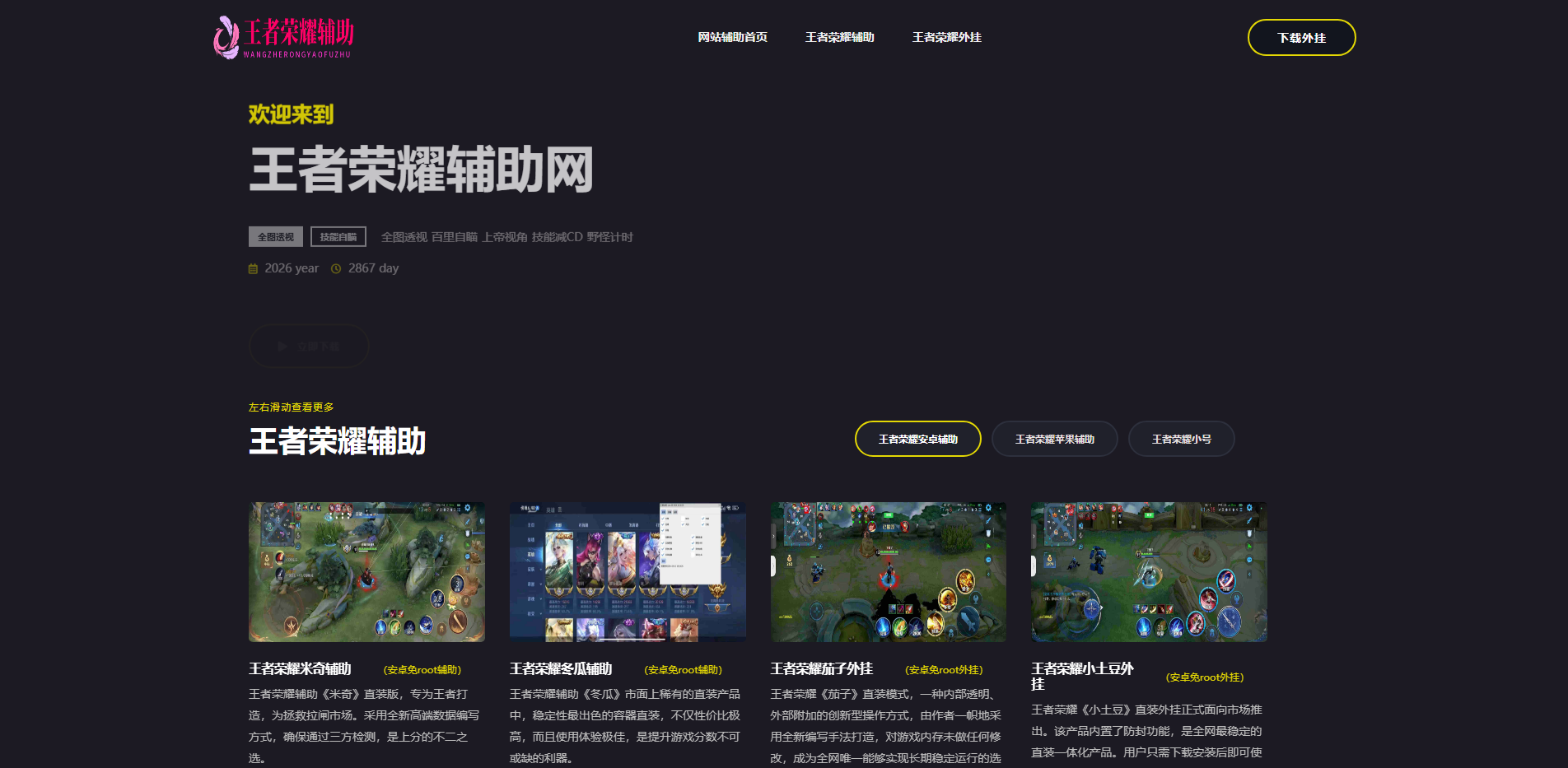 王者荣耀辅助网-2025最新稳定全图透视技能自瞄外挂